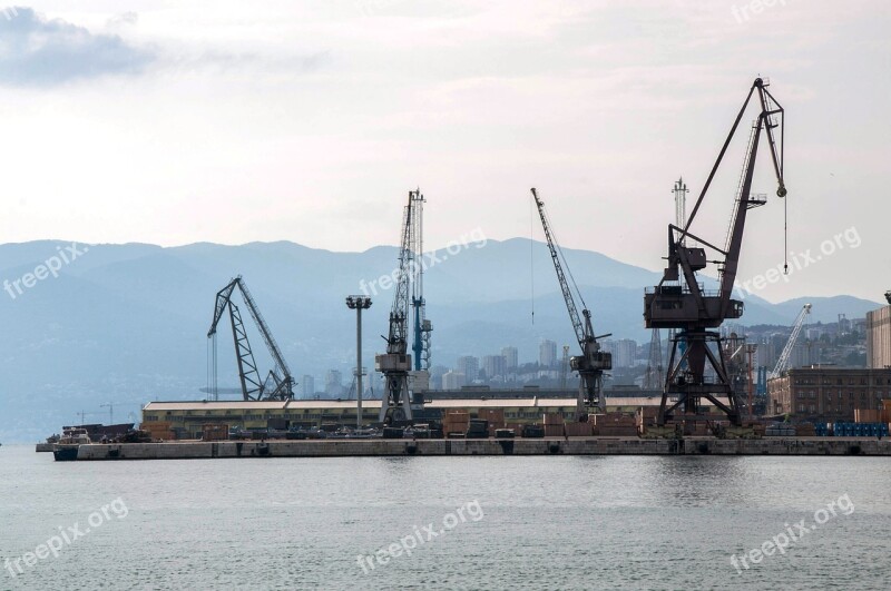 Sea Crane Summer Croatia Istria