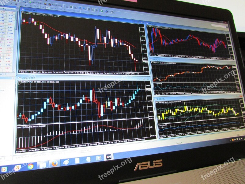 Analysis Chart Notebook Courses Display