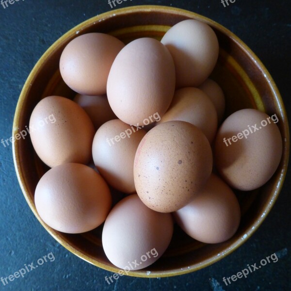 Egg Hen's Egg Food Nutrition Chicken Product