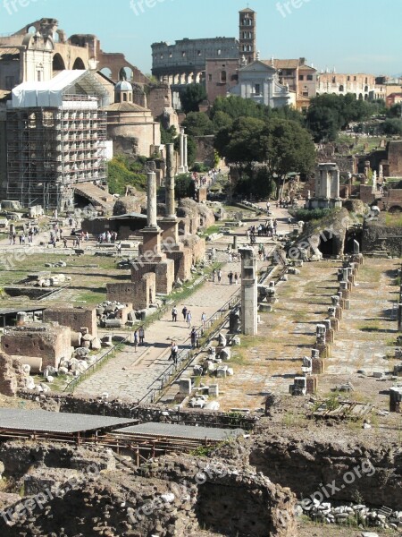 Forum Rome Italy Roman Foro Romano