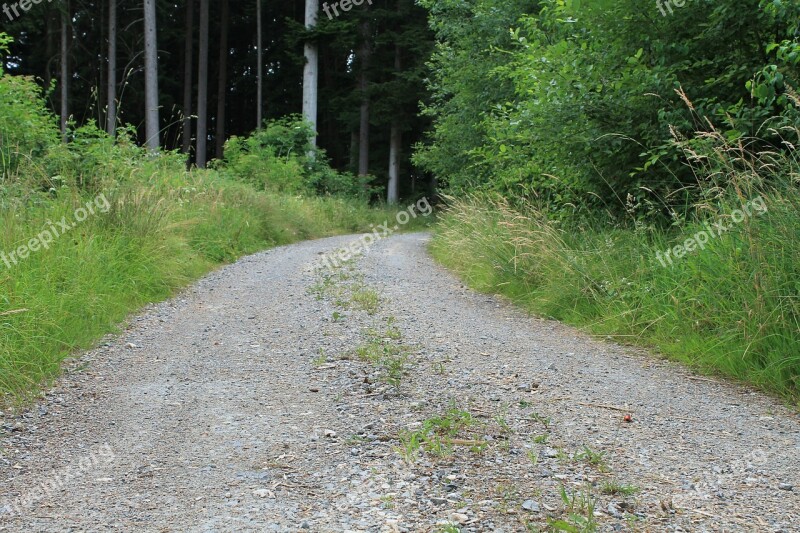 Gravel Road Forest Path Away Pebble Forest