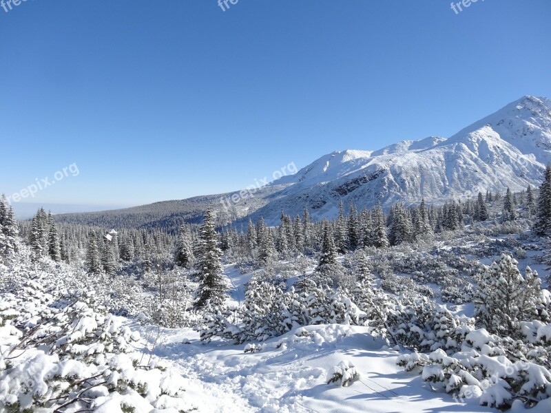 Winter Mountains Poland Nature View