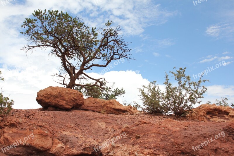 Colorado Landscape Rock Nature Outdoor