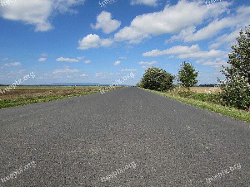 Country Road Side Street Dirt Track Road Asphalt