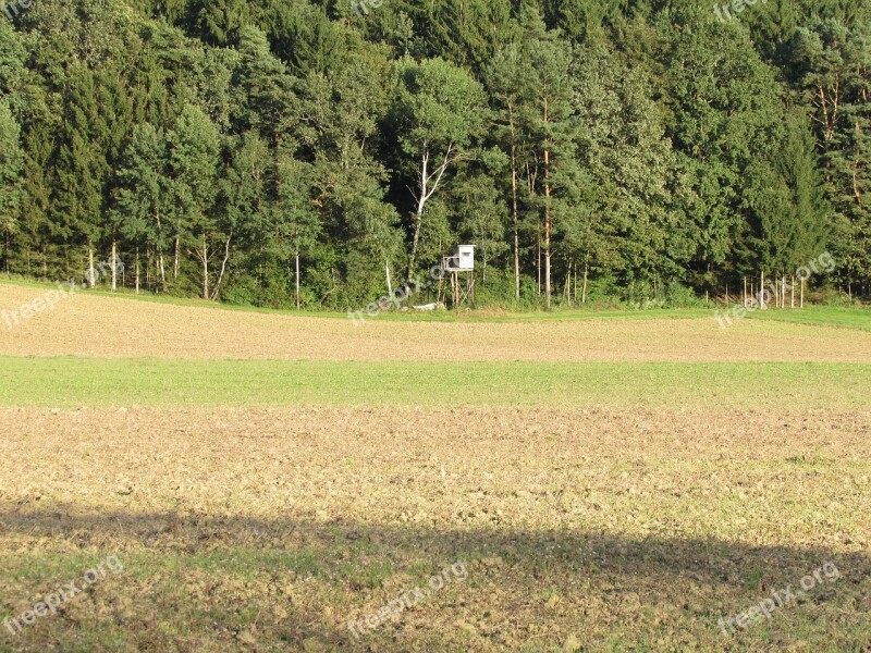 Trees Edge Of The Woods Nature Fields Arable