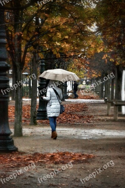 Fall Park Trees Leaves Umbrella