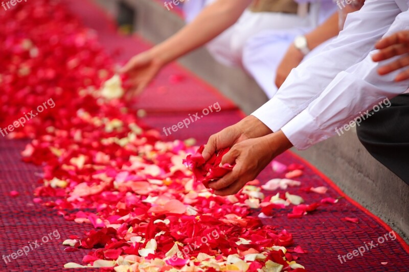 Rose Petals Buddhism People Thailand Floor