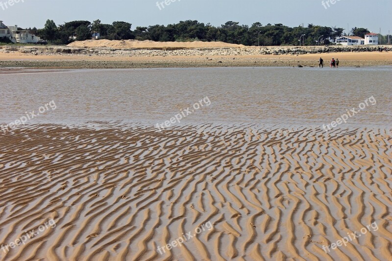 Sand Sea Beach Nature Ocean