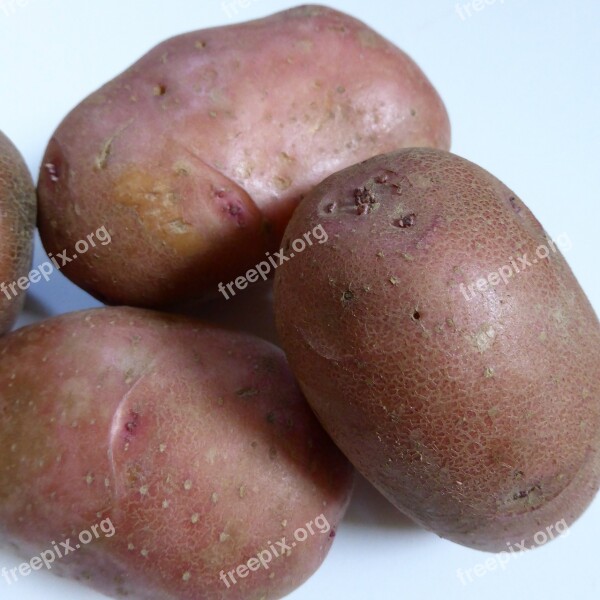 Potatoes Bio Nature Agriculture Vegetables