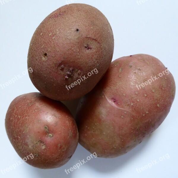 Potatoes Bio Nature Agriculture Vegetables