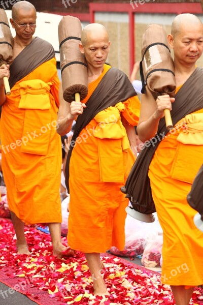 Monk Buddhist Meditate Tradition Ceremony