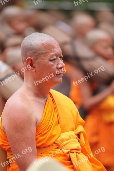 Monk Buddhist Meditate Tradition Ceremony