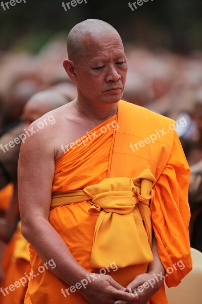 Monk Buddhist Meditate Tradition Ceremony