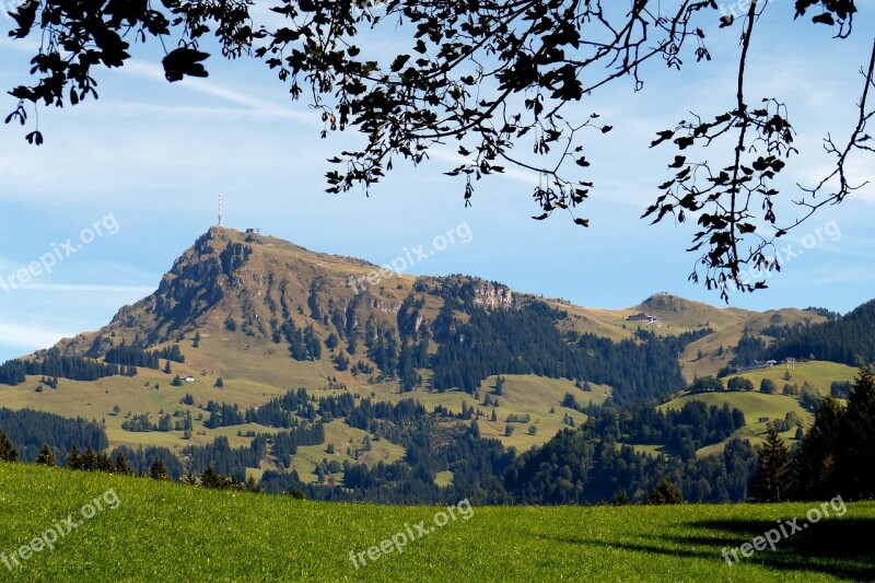 Kitzbüheler Horn Mountain Peak Tyrol Mountain Hiking