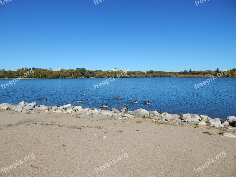 Sand Lake Beach Water Blue