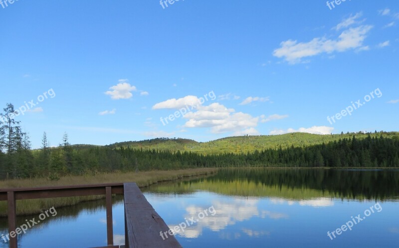 Lake Reflections Tree Scenic Calm