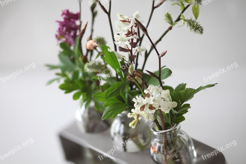 Vases Flowers Green White Houseplant