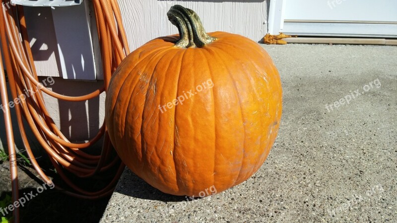 Pumpkin Fall Orange Holiday Decoration