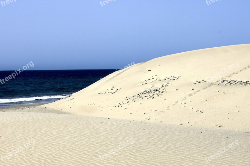 Maspalomas Gran Canaria Beach Spain Canary Islands