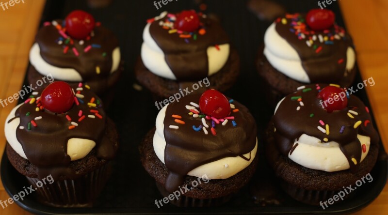 Cupcakes Sweet Candy Dessert Chocolate