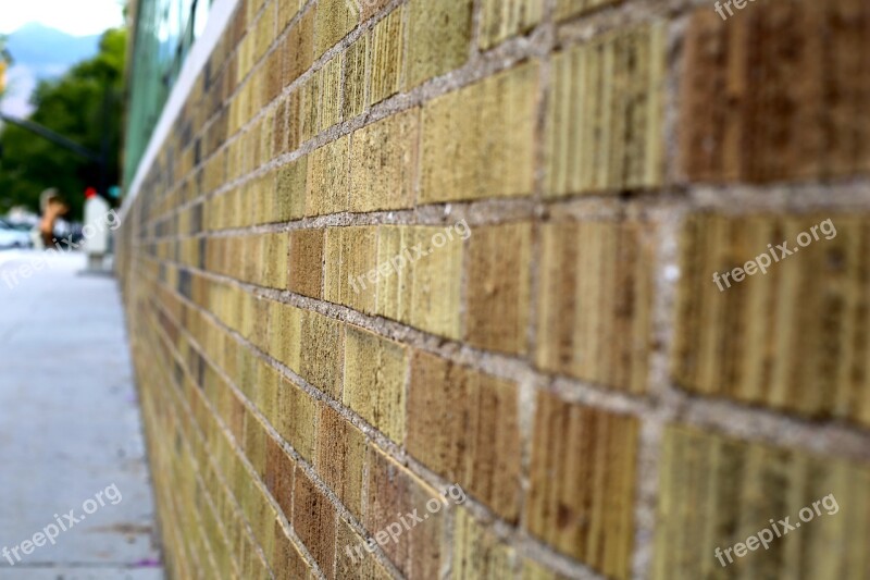 Brick Wall Texture Old Dirty