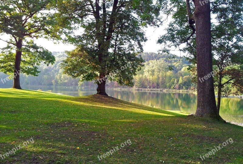 Trees Autumn Landscape Lake Sun