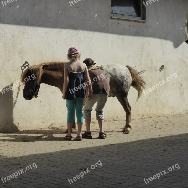 Girl Children Pony Leisure Hobby