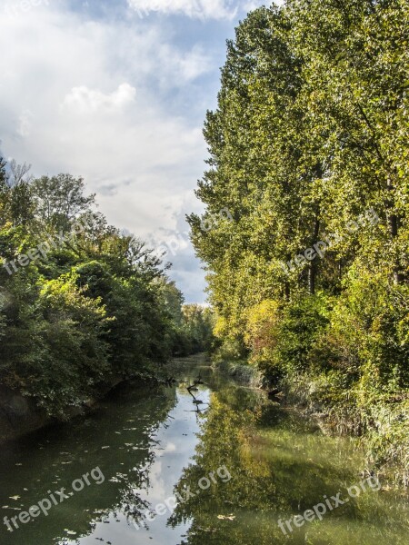 River Trees Nature Reflection Danube