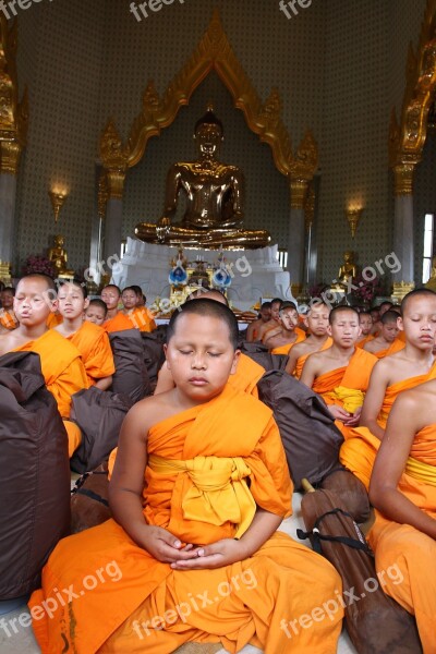 Buddhists Monks Buddhist Novice Meditate The Gold Monk