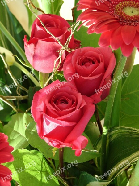 Roses Bouquet Flowers Bloom Floral