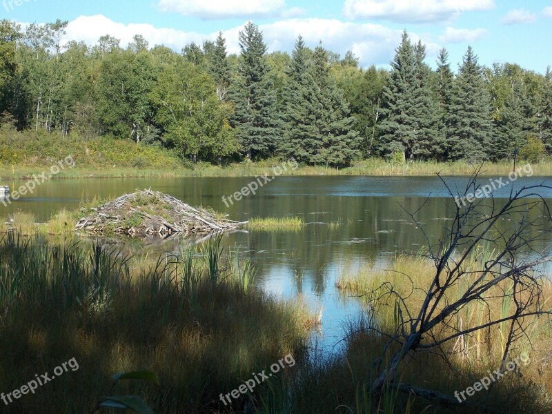 Lake Reflections Trees Nature Beaver Lodge