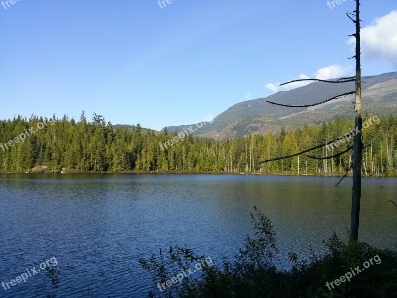 Mountain Lake Tree Landscape Summer