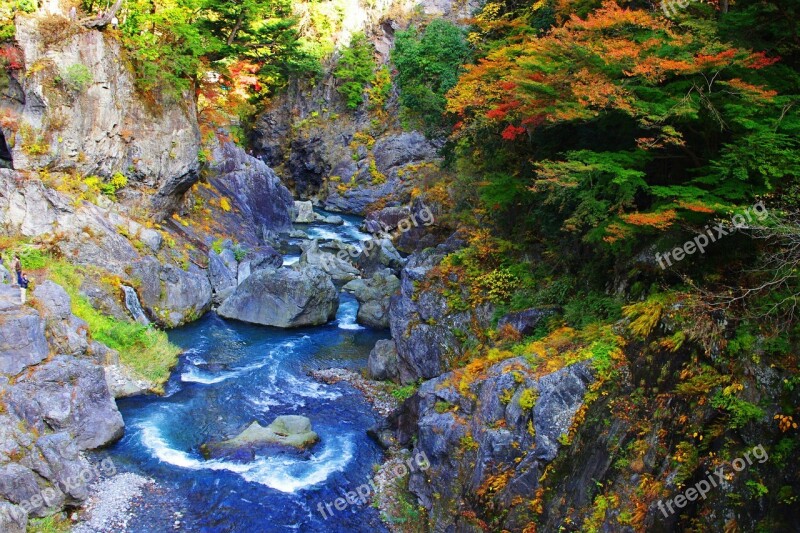 Stream Gorge Japan Nature Water