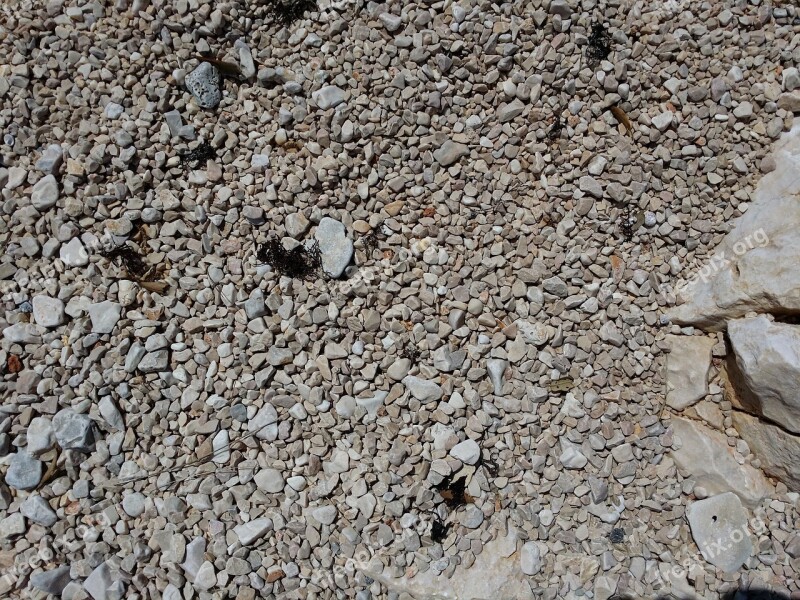 Pebbles Shore Rocks Texture Stone