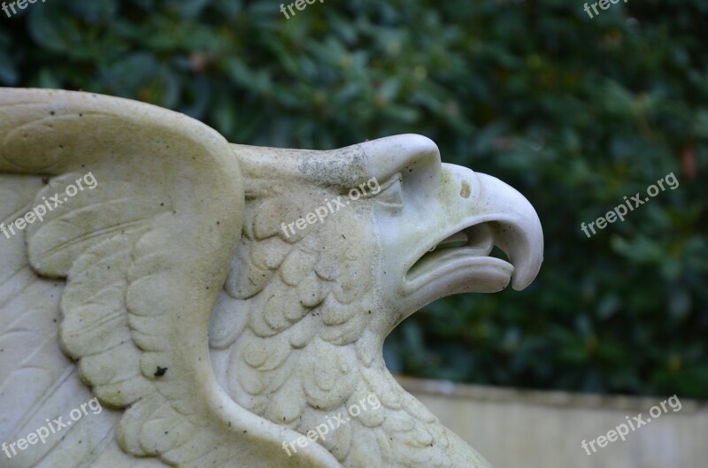 Statue Adler Bird Griffin Marble