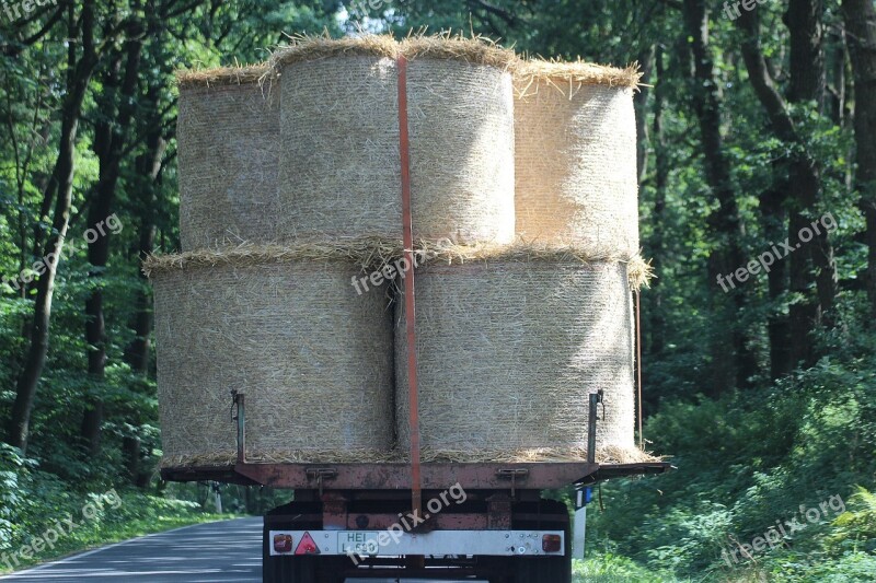 Bale Straw Bales Agriculture Cattle Feed Wrapped Up