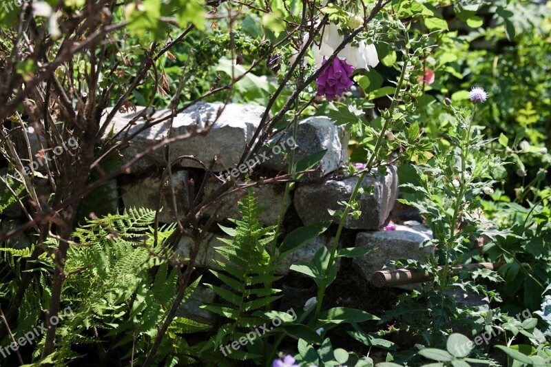 Dry Stone Wall Natural Garden Ferns Texture