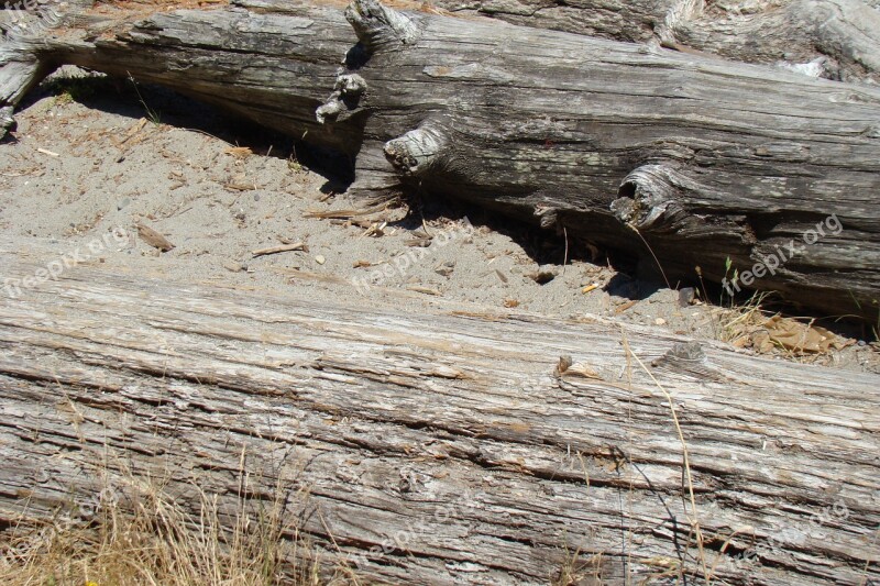 Wood Dirt Logs Brown Texture