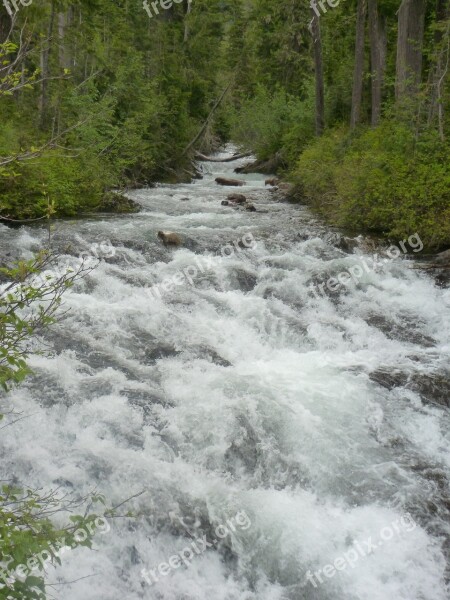 Water Creek Mt Rainier Nature Stream