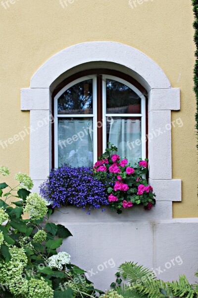 Facade Window Architecture Old Flower