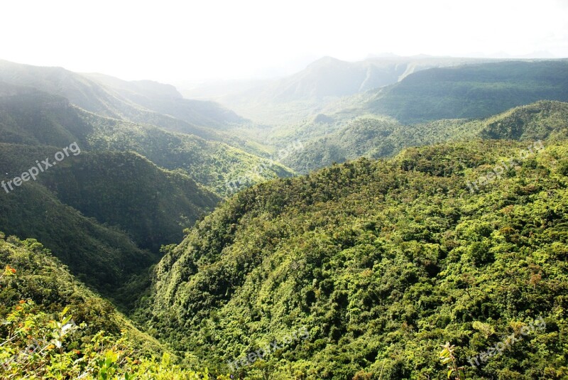 Mauritius Jungle Island Forest Hill