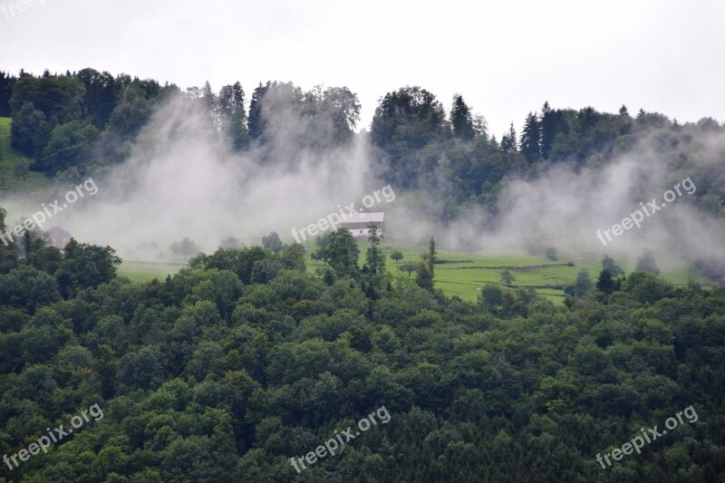 Alpine Forest Fog Cloudiness Hiking