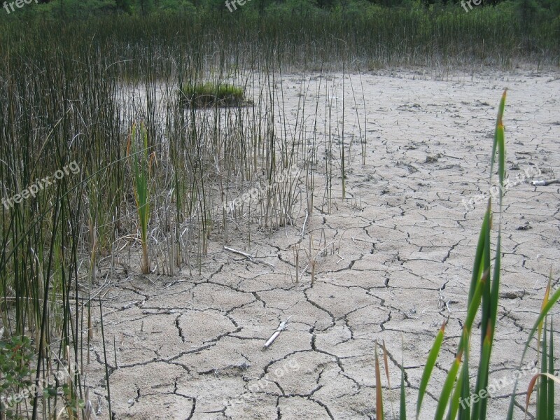 Marl Dry Pond Marlstone Cracked