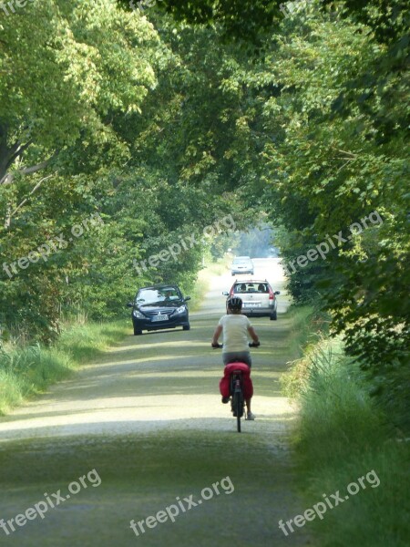 Cycling Avenue East Germany Cycle Cyclists