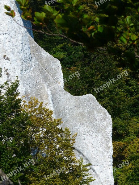 Rügen Königstuhl White Cliffs Baltic Sea Free Photos