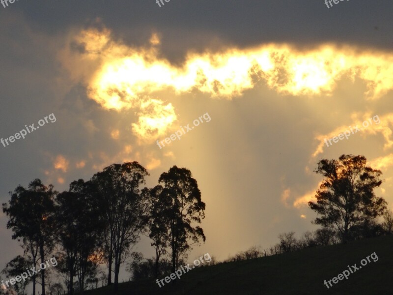 Eventide Sunset Trees Flames Landscape