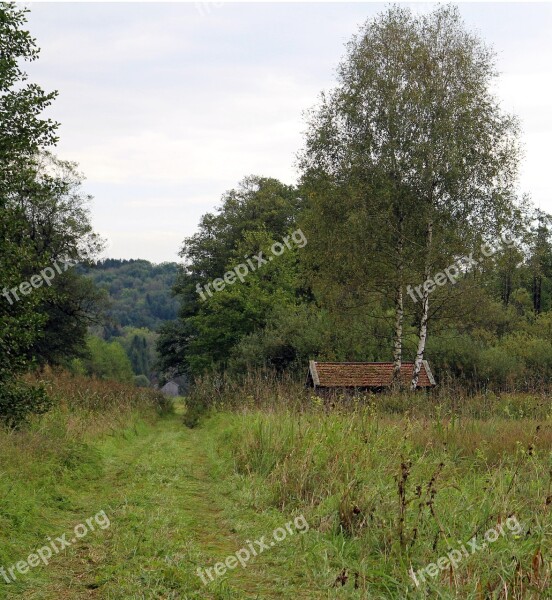 Landscape Nature Forest Reported Away