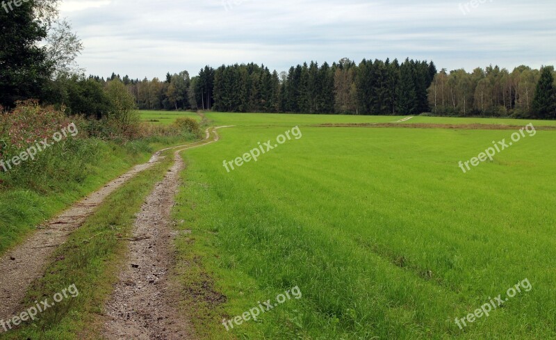 Commercial Way Lane Away Landscape Nature