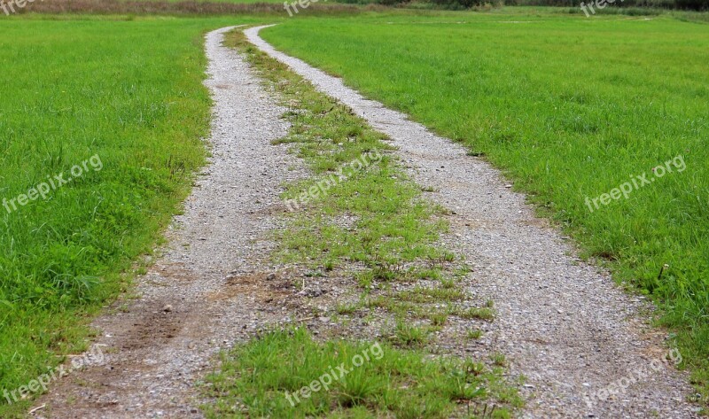 Lane Away Landscape Nature Reported