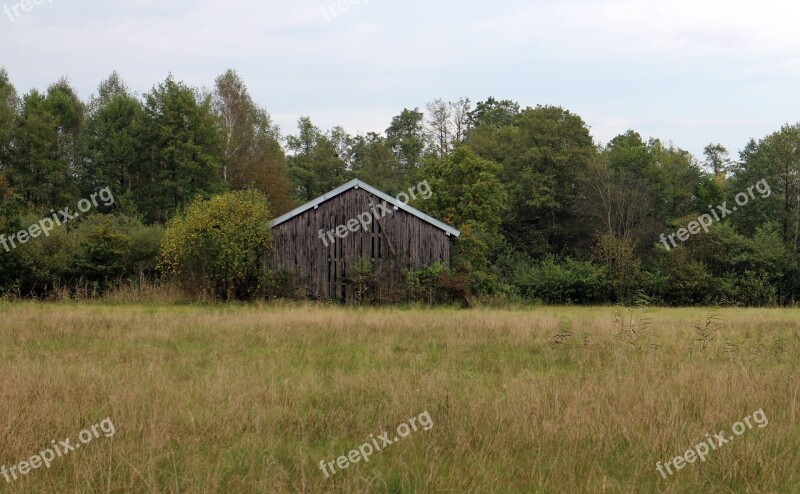 Autumn Landscape Nature Reported Trees